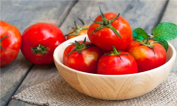 علت اصلی گرانی گوجه فرنگی مشخص شد